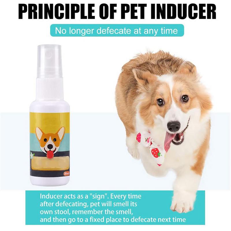 1PCS Dog Potty Train Spray Por - Travel Accessories In Train review and price
