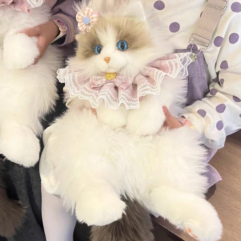 2026 New In Stock Ragdoll Cat  - Travel Accessories Ideas review and price