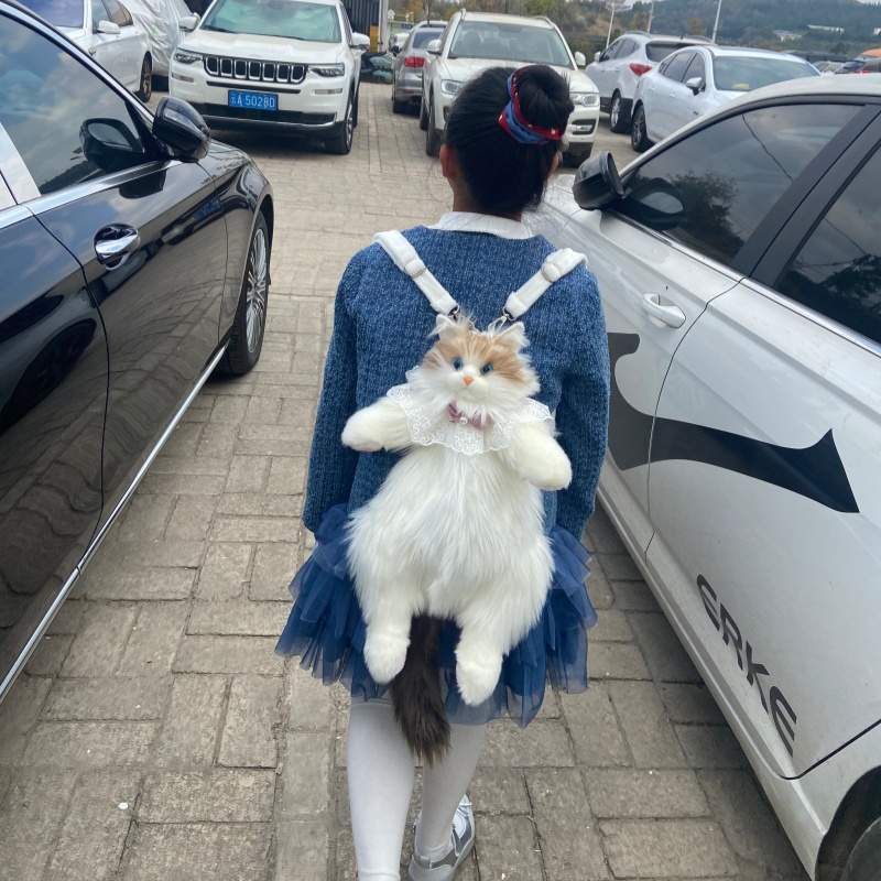 2026 New In Stock Ragdoll Cat  - Travel Accessories Ideas review and price
